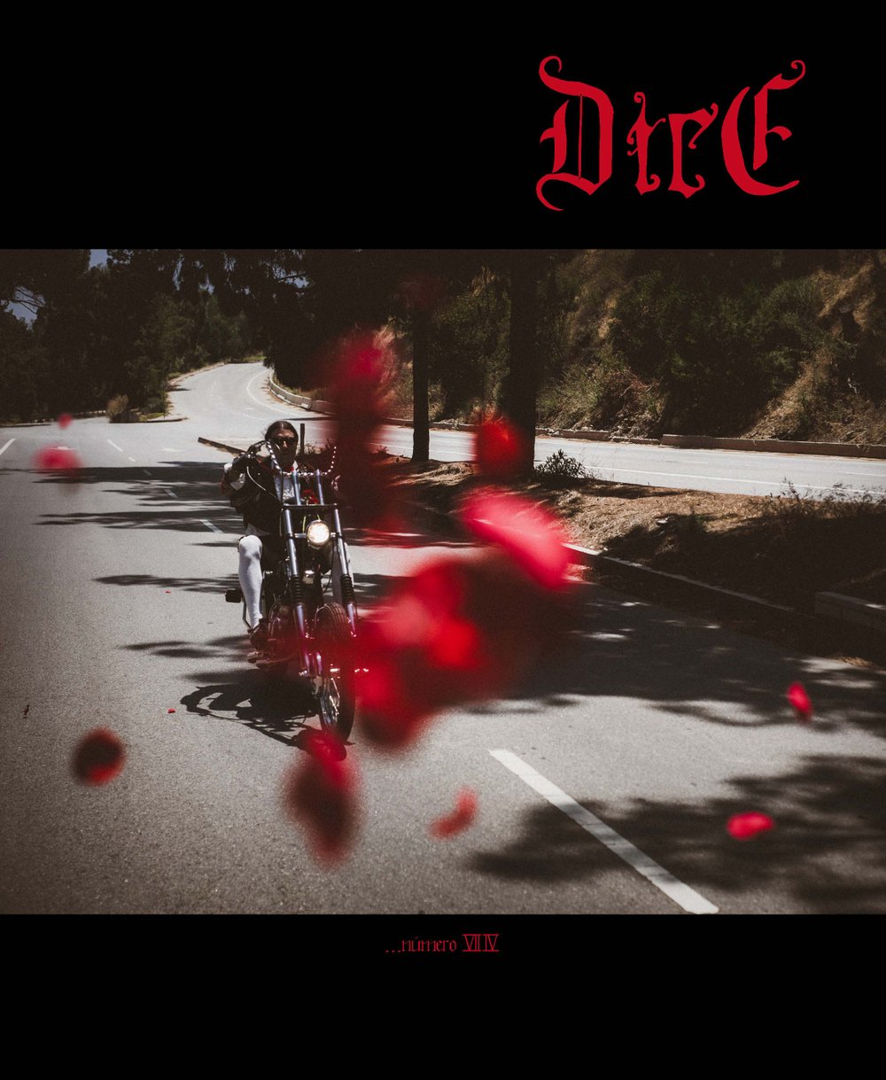 DicE Magazine - Issue 74 - Abel Brown